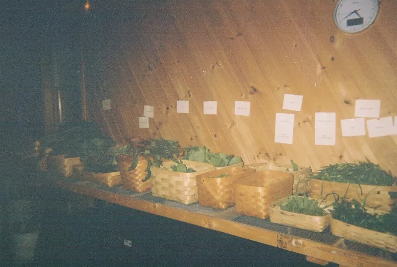 The March Rush: What a Sold-Out Farm Share Actually Tells Us About Dinner in America