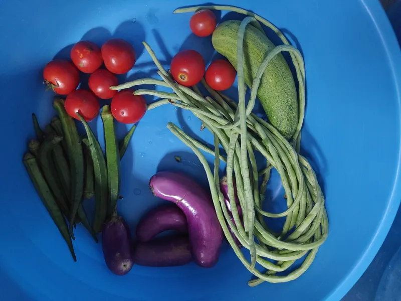 February You Will Thank October You: A No-Sweat Guide to Stashing the Harvest