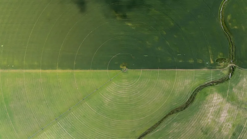 Your Grocery Cart Is Draining the Aquifer: The Water Footprint Nobody Puts on the Label