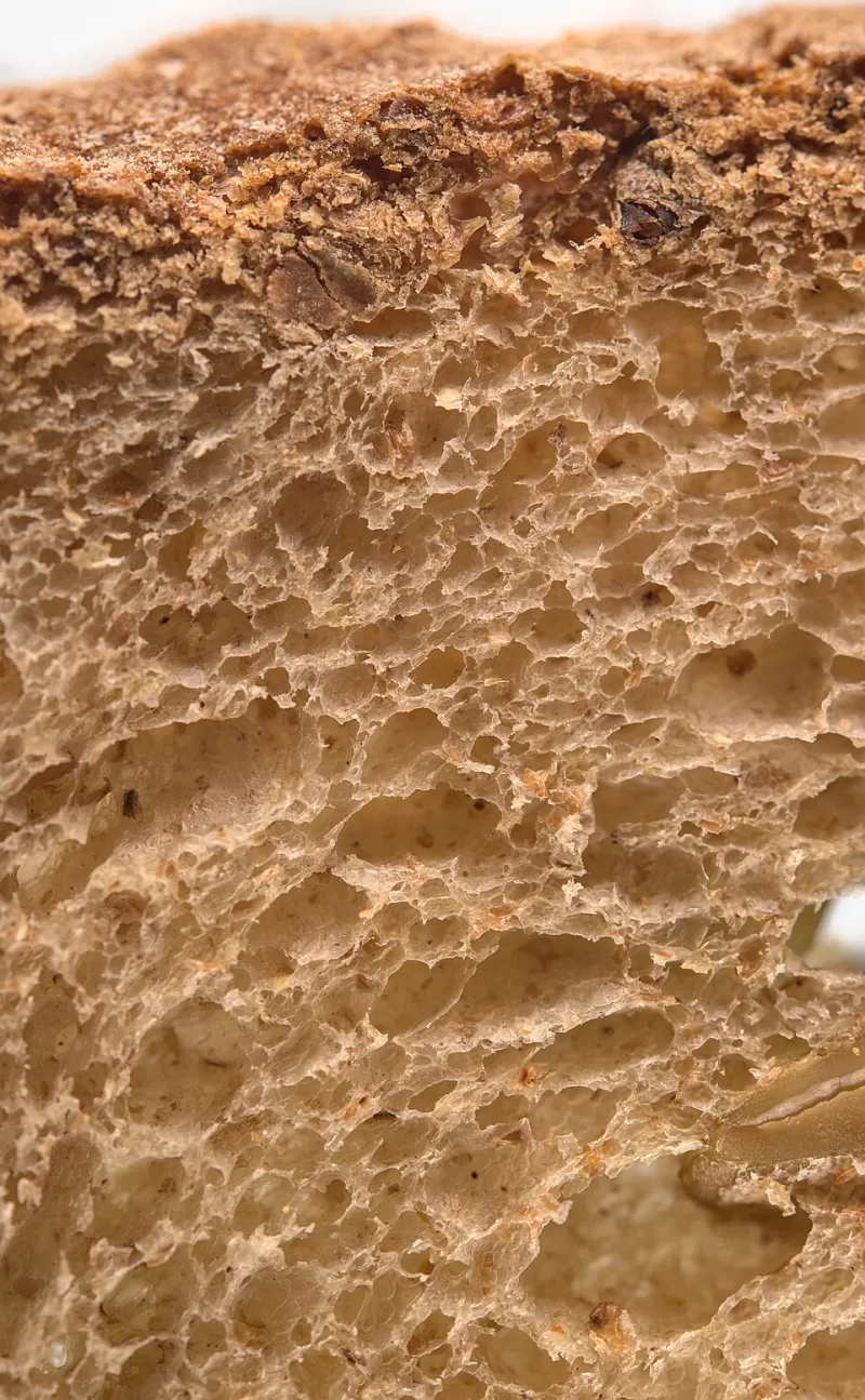 The 50-Mile Loaf: How Local Grain Is Rewriting What Bread Can Taste Like