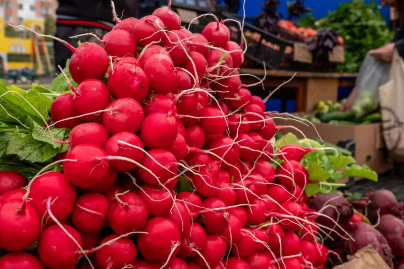 The Organic Label Isn't the Whole Story: What Actually Makes Your Vegetables Nutritious