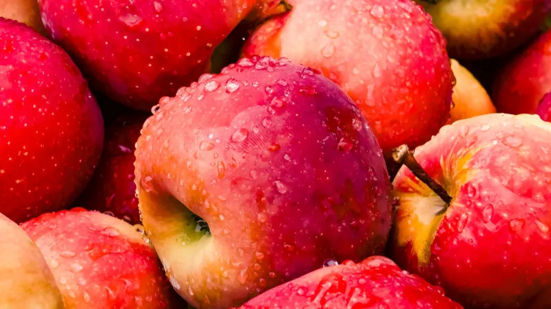 What's Hiding in Your Produce Aisle: The Gut-Wrecking Chemistry of Conventional Farming