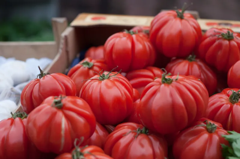 Why Regenerative Tomatoes Taste Like a Different Fruit Entirely — And the Science Behind It