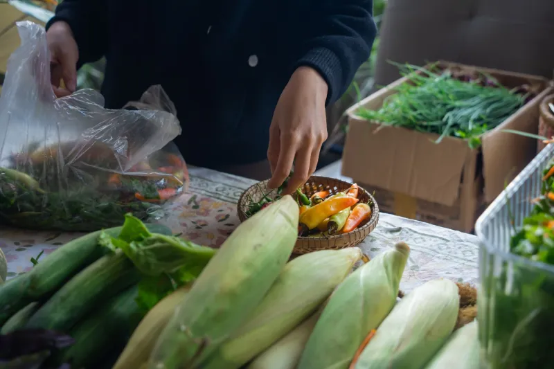 Rethinking the Receipt: What You're Really Paying When You Skip the Farmers' Market
