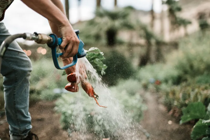 When the School District Buys a Farm: Inside America's boldest Cafeteria Experiment
