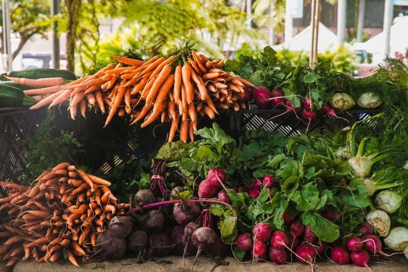 Stop Fighting the Calendar: Your Region-by-Region Guide to Eating What's Actually in Season