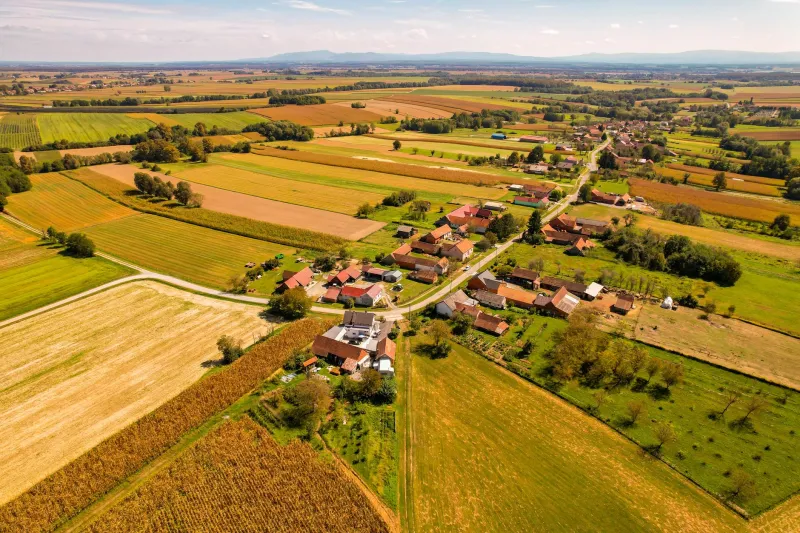 Smaller Farms, Bigger Future: Why Local Agriculture Might Be More Ready to Scale Than You Think