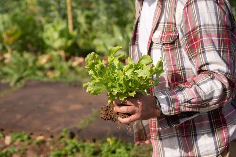 What's Living in Your Dirt? The Underground World That Makes or Breaks Your Food